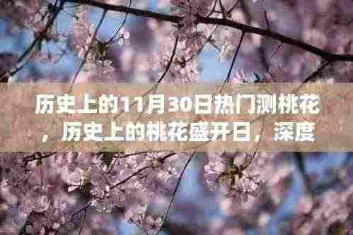 历史上的桃花盛开日，深度解读11月30日的情缘变迁与盛开日测桃花盛况