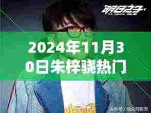 朱梓骁参与快乐大本营活动指南，2024年11月30日活动详解与参与步骤