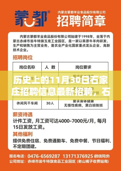石家庄招聘信息革新，科技之光照亮职场未来——历史招聘信息回顾与最新招聘动态