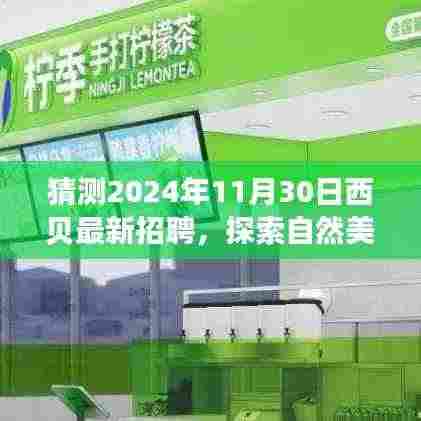 西贝招聘启程，探索自然美景之旅，寻找内心的宁静与平和新岗位揭晓（2024年最新招聘）