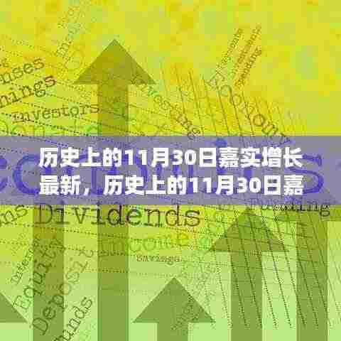 深度解析，嘉实增长在历史上的11月30日最新动态与观点阐述