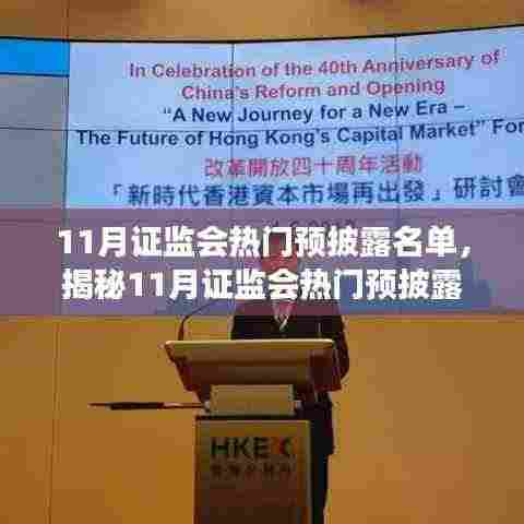 揭秘11月证监会热门预披露名单，变化与成长的力量展现自信成就共舞之路