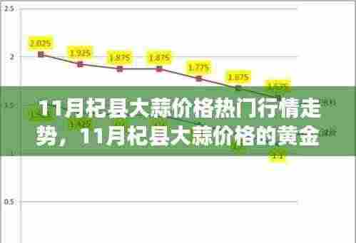 11月杞县大蒜市场行情解析，黄金走势、成长与自信之路