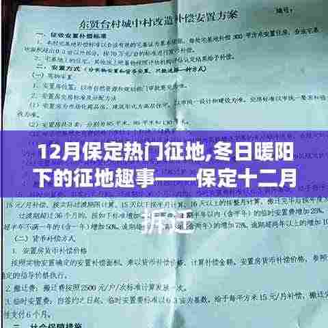 保定十二月征地纪实，冬日暖阳下的家园情怀与友情纪事