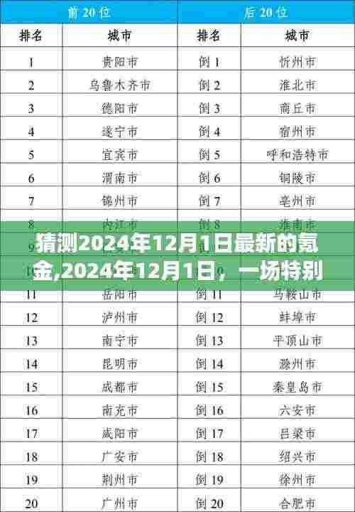 2024年12月1日特别氪金之旅，友情故事与温馨相伴