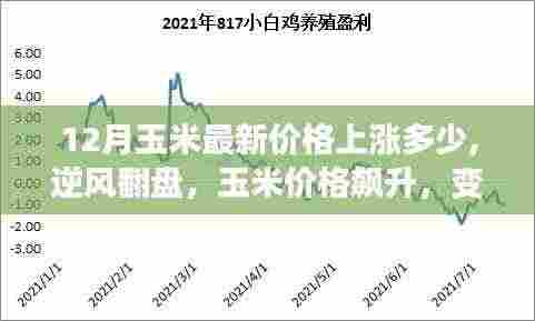 荆钗布裙 第7页