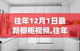 往年12月1日最新橱柜视频观察，深度剖析某某观点