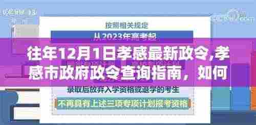 往年12月1日孝感最新政令详解及查询指南，孝感市政府政令获取方法介绍