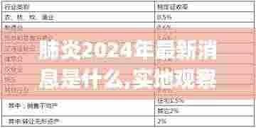肺炎2024年最新消息是什么,实地观察解释定义_RZP33.430流线型版