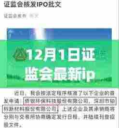 证监会最新IPO名单揭晓，12月新纪元下的资本市场动态