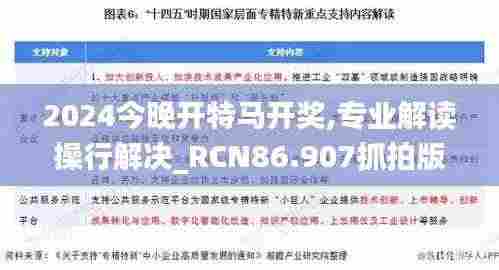 2024今晚开特马开奖,专业解读操行解决_RCN86.907抓拍版