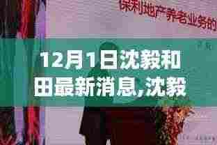 深度解析，沈毅和田最新动态与各方观点