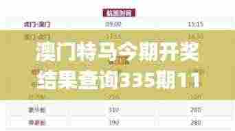 澳门特马今期开奖结果查询335期11月29日星期六,推动策略优化_BZO19.659颠覆版