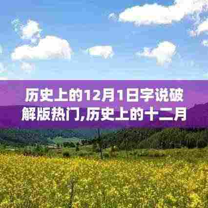 揭秘历史上的十二月一日，字说破解版热门事件回顾