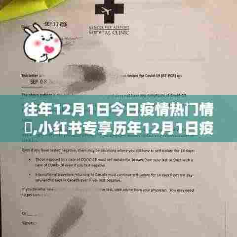 小红书专享历年疫情热点深度解析，历年12月1日疫情热门情况回顾与解析