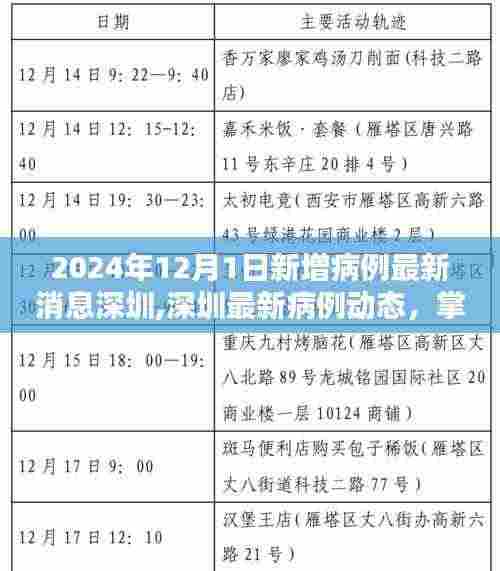 2024年深圳最新病例动态及应对策略，掌握新增病例查询方法与应对技巧