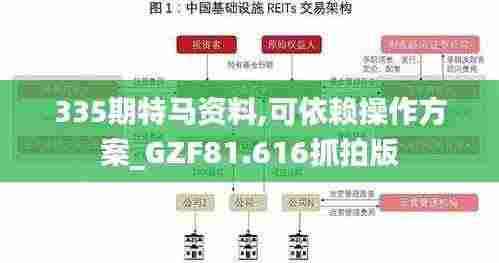 335期特马资料,可依赖操作方案_GZF81.616抓拍版