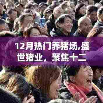 瑞雪纷飞 第2页