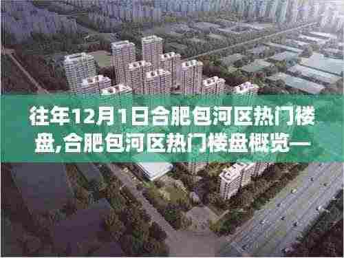 合肥包河区往年12月1日热门楼盘概览与概览，市场深度分析