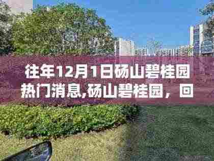 砀山碧桂园12月1日热门消息回顾，回望那些精彩瞬间