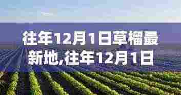 往年12月1日探访草榴最新地，生态、科研与应用价值深度探讨