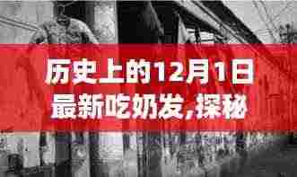 破马张飞 第5页