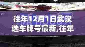 武汉选车牌号最新动态解读，选号策略与趋势分析（往年12月1日更新）
