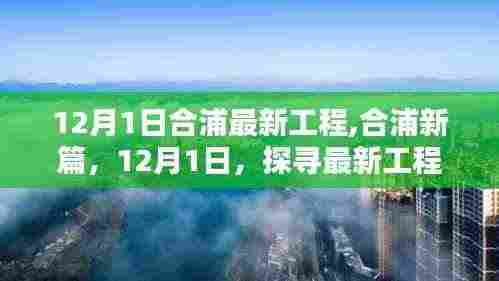 合浦新篇章，探寻最新工程之崛起（12月1日最新更新）