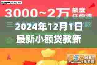 初学者与进阶用户必备，2024年小额贷款新口子详解及申请流程指南