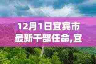 宜宾市新任干部启程，探索自然美景之旅，寻找内心平静之路
