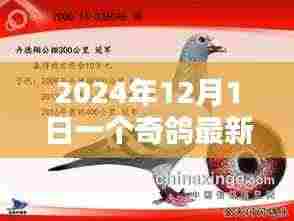 奇鸽最新版，2024年科技飞跃与深远影响的里程碑