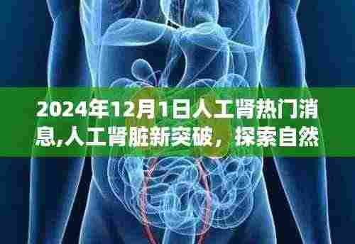 人工肾新突破，探索自然美景之旅与寻找内心宁静的奇妙之旅（热门消息）