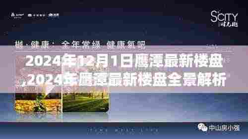 2024年鹰潭最新楼盘全景解析，深度探索鹰潭楼市