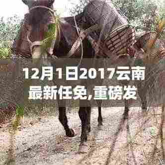 重磅发布，云南科技新品闪耀登场，智能革新体验引领科技魅力