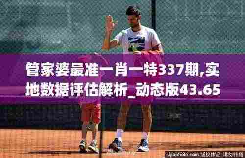 管家婆最准一肖一特337期,实地数据评估解析_动态版43.653-3