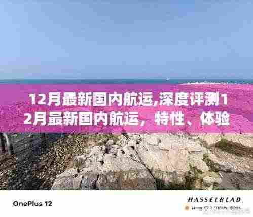 深度解析，12月国内航运全新动态，特性体验、竞品对比与用户洞察