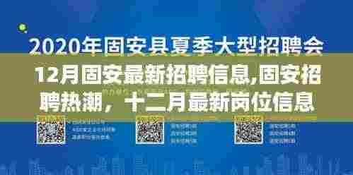 固安最新招聘热潮，十二月岗位信息解析与洞察