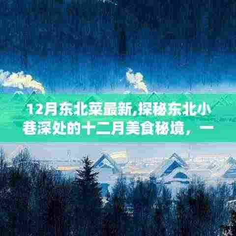探秘东北小巷深处的十二月美食秘境，一家独特魅力的东北菜小店新菜品展示