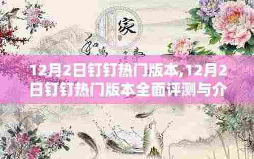 12月2日钉钉热门版本详解与全面评测