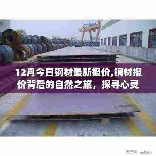 探寻心灵的宁静与自然的馈赠，揭秘钢材报价背后的自然之旅，最新钢材报价一览（今日十二月）