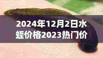 2024年12月2日水蛭价格2023热门价格表,水蛭价格变迁背后的励志故事，学习、变化与自信的跃升之旅