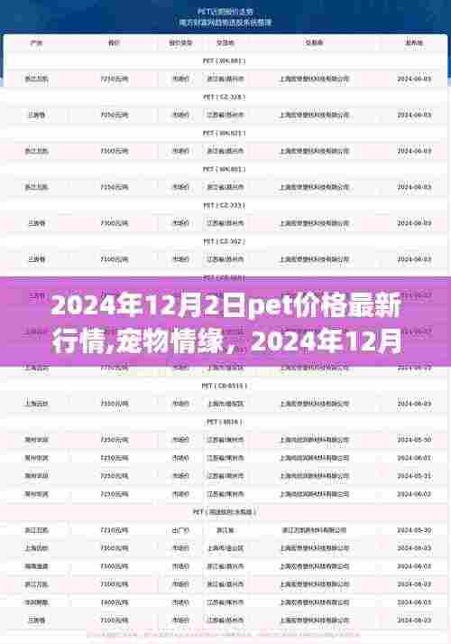 宠物情缘，揭秘宠物价格背后的故事与最新行情