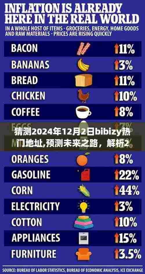 揭秘未来之路，解析Bibizy热门地址走向预测，探寻2024年12月2日趋势展望