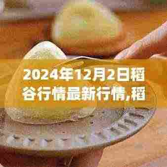 稻香之旅，探寻自然美景与稻谷丰收行情