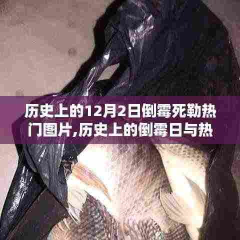 攀高结贵 第6页