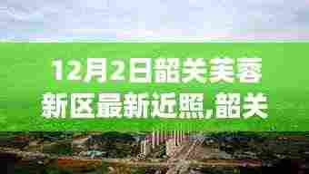 繁鸟萃棘 第4页