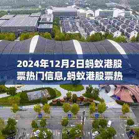 2024年12月2日蚂蚁港股票热门信息解析