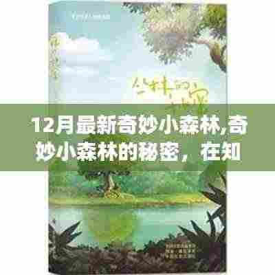 十二月新探奇妙小森林，知识森林中的自信与成长果实