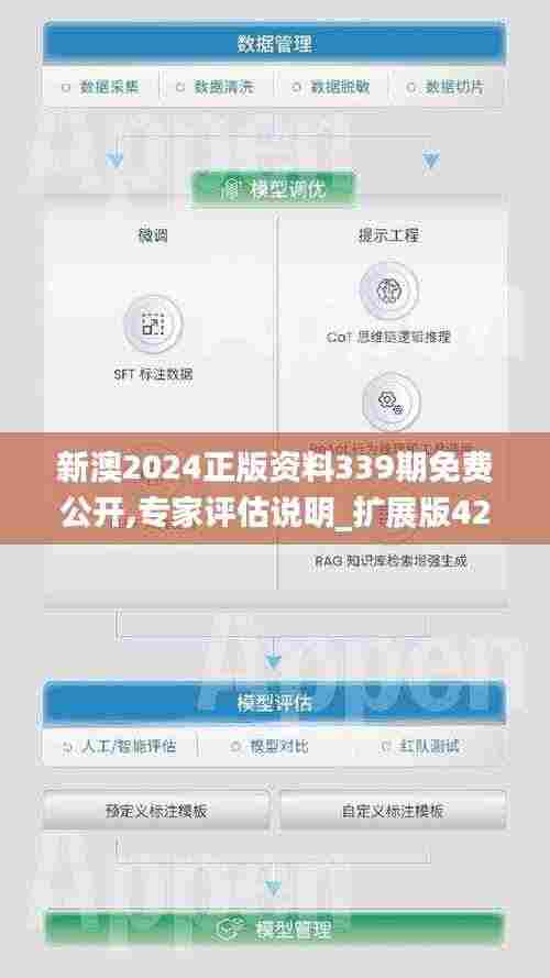 新澳2024正版资料339期免费公开,专家评估说明_扩展版42.739-8