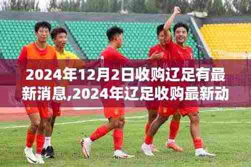 揭秘未来足球巨头篇章，辽足收购最新动态与未来展望（2024年）